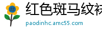 红色斑马纹袜子配着高跟和白皙的皮肤诱人十足[13P]